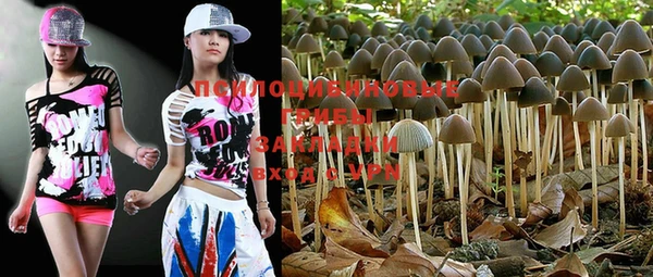 PSILOCYBIN Лиски