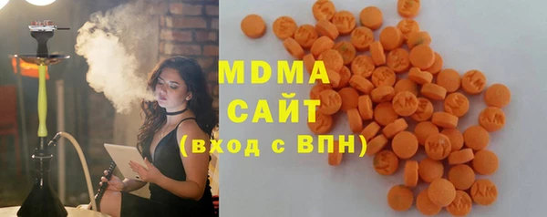 PSILOCYBIN Лиски