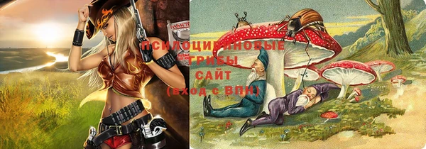 PSILOCYBIN Лиски