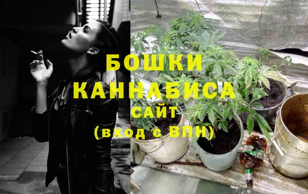 мет Лагань