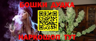 гидра Гатчина