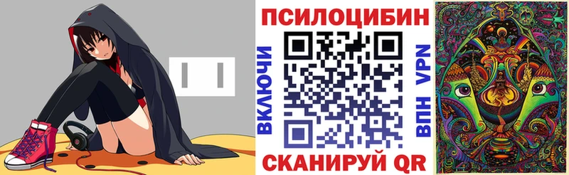 Псилоцибиновые грибы Psilocybe  Каменск-Уральский 