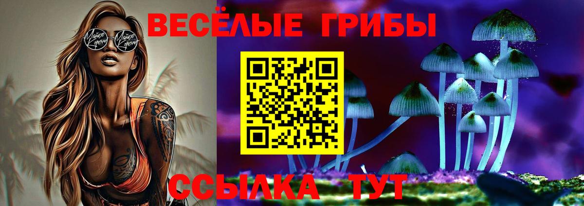Псилоцибиновые грибы Psilocybine cubensis  Вход с VPN  наркотики  Каменск-Уральский 